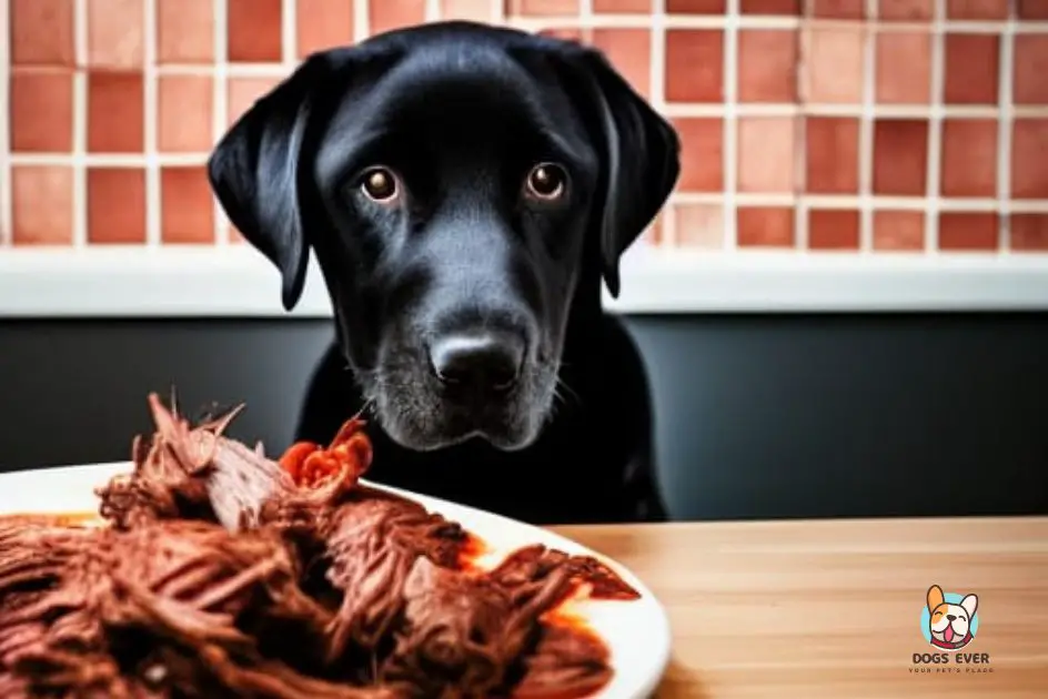 Can Dogs Eat Barbacoa? The Answer, Straight from a Vet (Updated 2023)