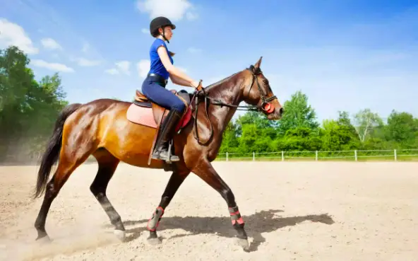 How to ride safe on Horse- Best Safety tips to follow