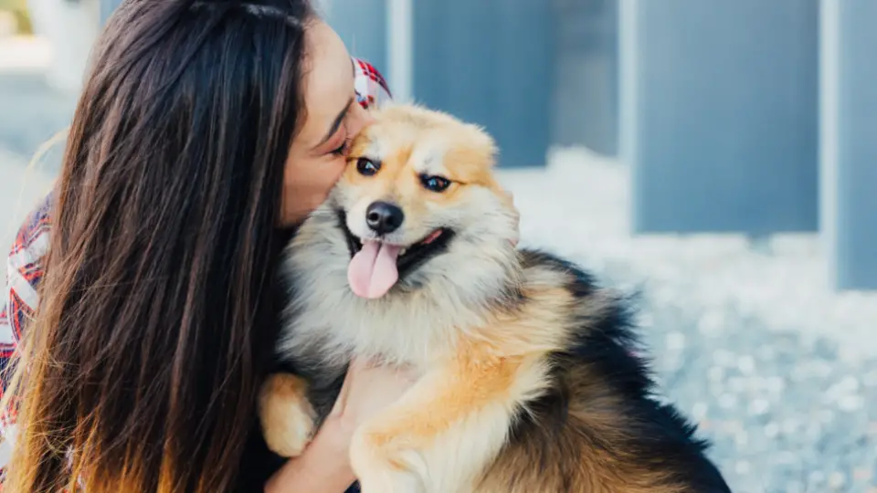 Pet parent’s guide: 7 rules for raising a healthy dog