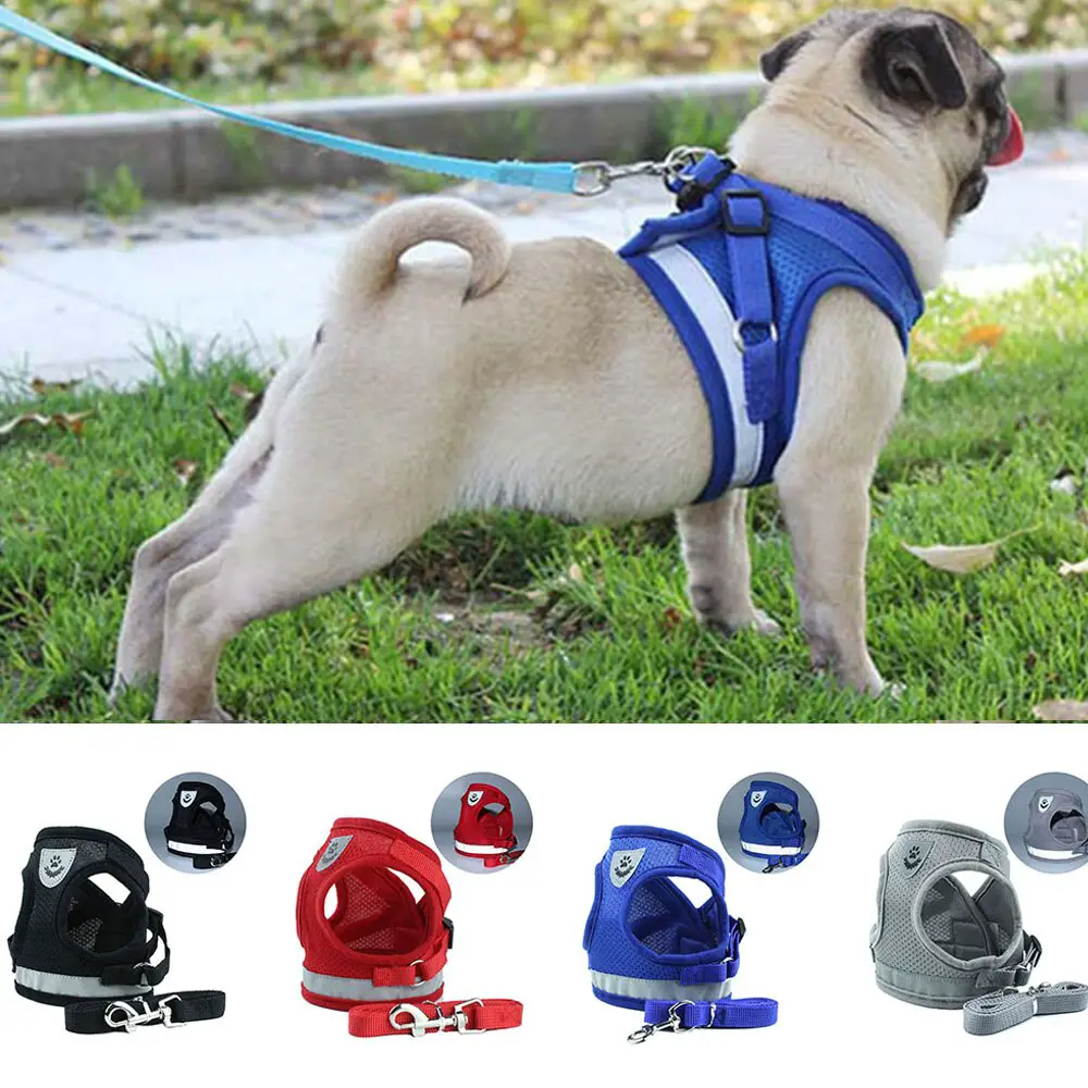 How to Choose a Dog Harness with Reflective Straps