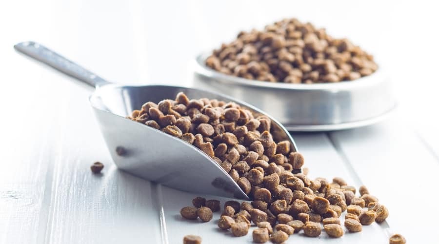 A Comparison of Purina Pro vs Nutro Dog Food- which is better?