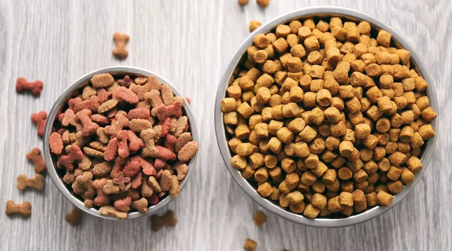 Hill's Science Diet vs Royal Canin- Dog food comparison